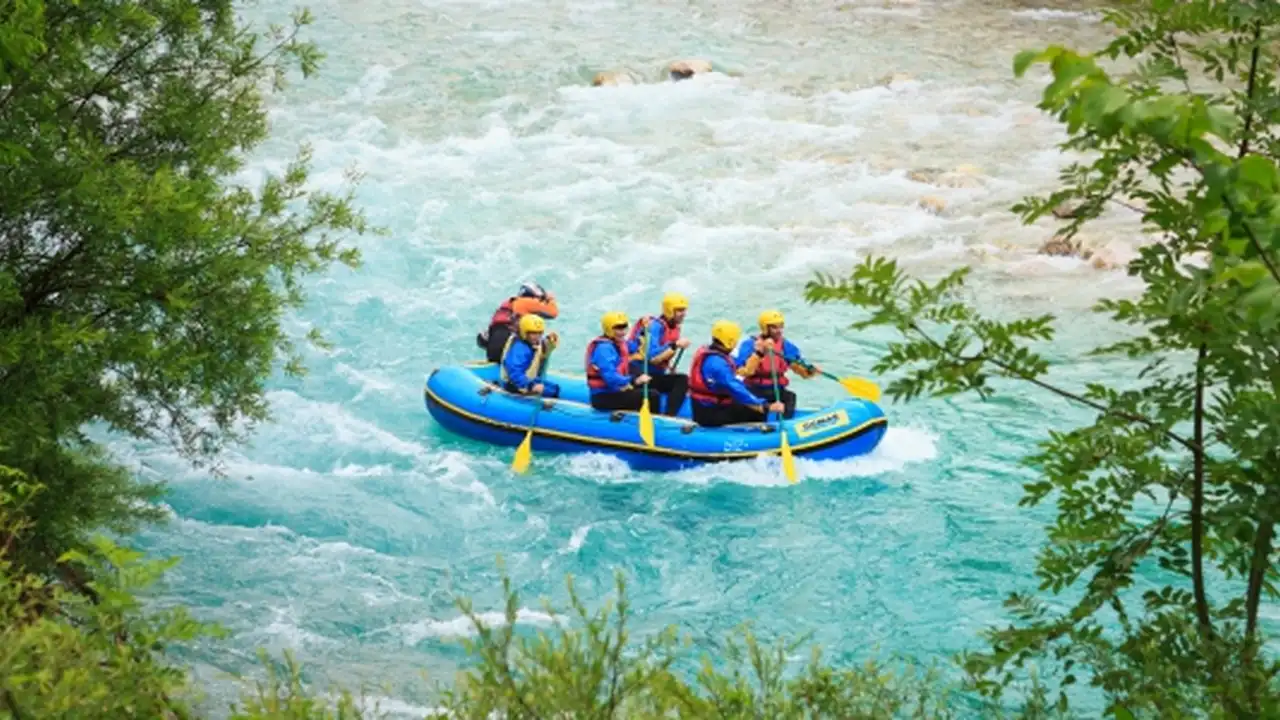 pork chops with cream sauce