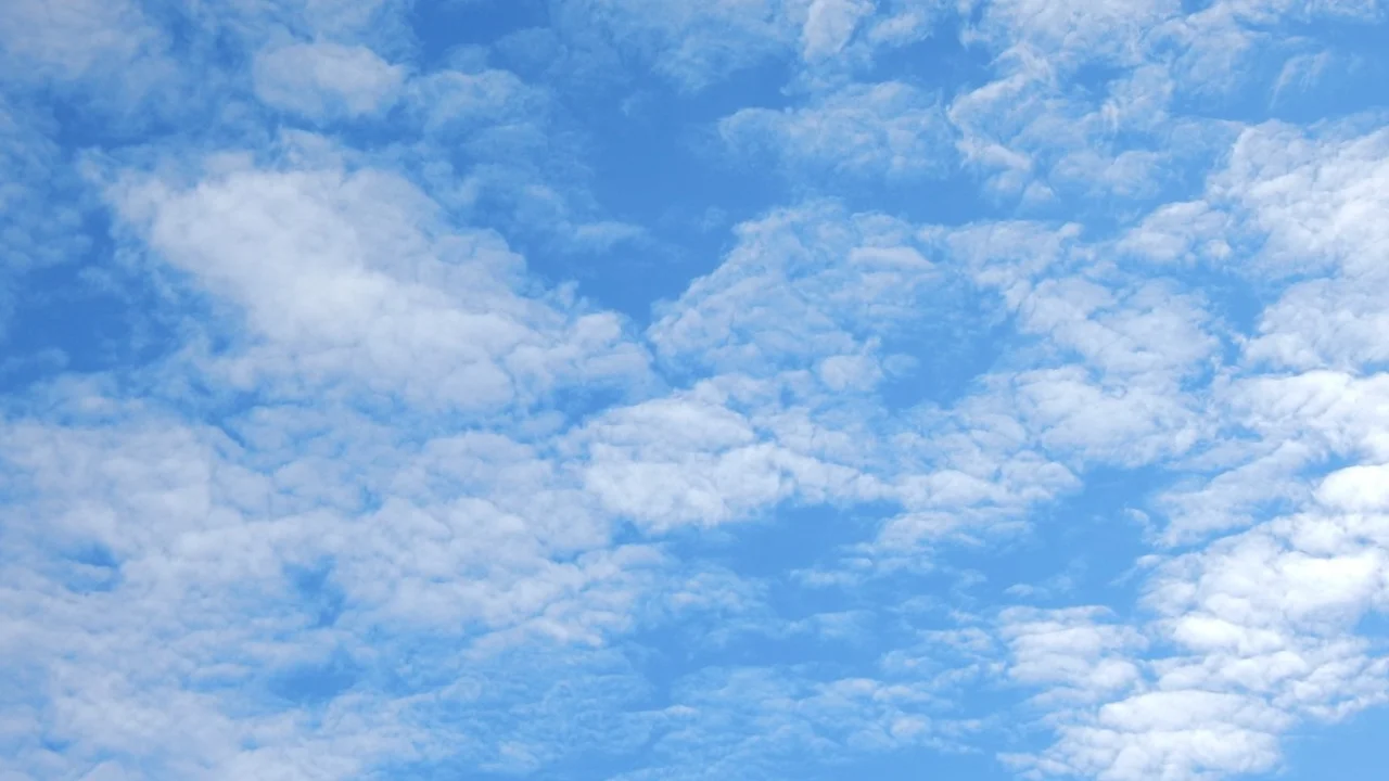 pork chops with cream sauce