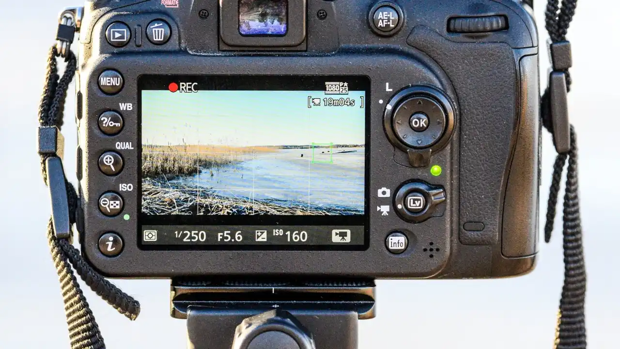 pork chops with cream sauce